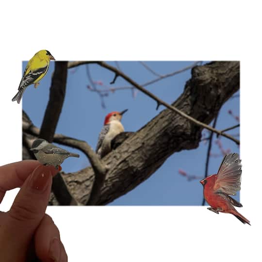 Bird Stickers by Recollections™
